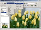 Screenshot of Amazing Graphic Editor 1.5