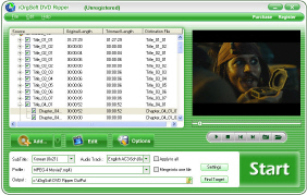 iOrgSoft DVD Ripper Main Interface