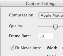 Capture Setting Interface