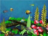Fish Aquarium 3D Screensaver