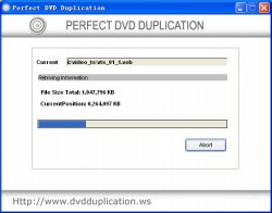 Perfect DVD Duplication