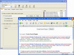 Search Engine Builder Professional